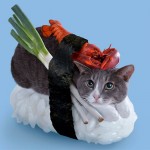 chat-sushi