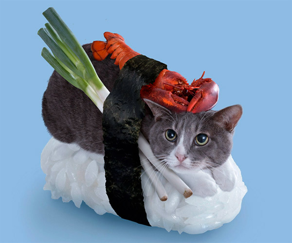 chat-sushi