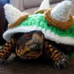 bowser-irl