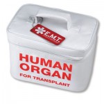 lunch-box-organe