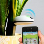 capteur-wifi