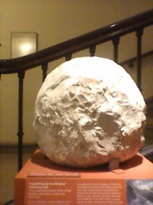 IMG_20131121_173526 (Copier)