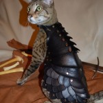 chat-combat