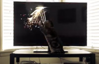 chat