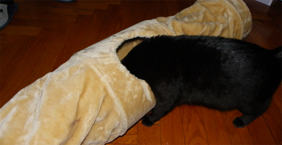 Tunnel de jeu Peluche pour chat