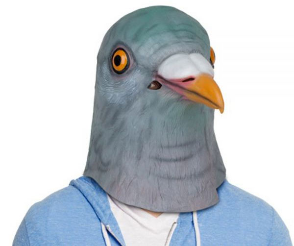 Masque Pigeon
