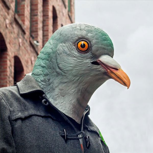 Masque Pigeon