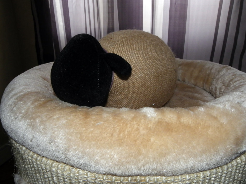 Cale-porte mouton