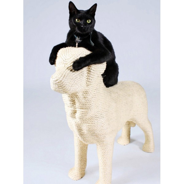 griffoir chat en forme de chien
