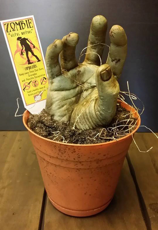 Faire pousser un zombie dans un pot