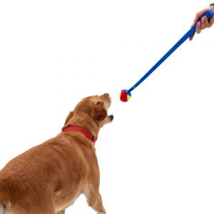 Lanceur de balles de tennis pour chien 