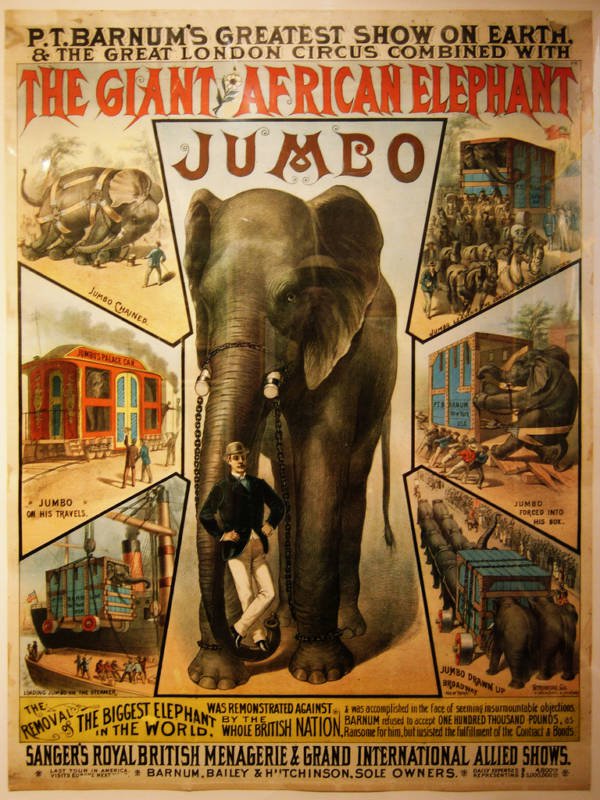 L'histoire vraie de Dumbo l'éléphant